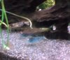 DSC00646.jpg