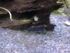 DSC00653.jpg