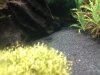 DSC00658.jpg