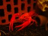 DSC03729_600_450.jpg