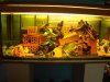 DSC03725_600_450.jpg
