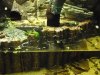 2009.08.21.. 003.jpg