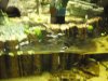 2009.08.21.. 004.jpg