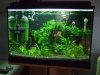 DSCF6505.jpg