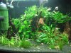 DSCF6500.jpg