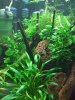 DSCF6503.jpg