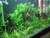 DSCF6504.jpg