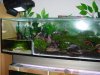 DSC01479.JPG
