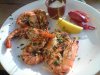 DSC00325.jpg