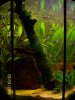 100_2402.JPG