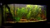 100_2405.JPG