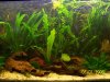 100_2409.JPG