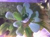 Bild1457.jpg