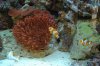 DSC_2927_005.jpg