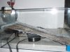 2009.09.03. 001.jpg