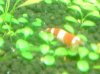 DSC00186.JPG