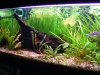 DSCF4474.JPG