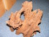 DSCF4477.JPG
