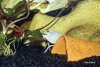 Bild 381.jpg