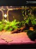 DSC01689.JPG