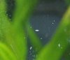 aquarium-1.jpg