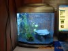 Aquarium 423.jpg