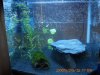 Aquarium 422.jpg