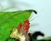 Bild 362-1.jpg