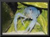 20090905 058.jpg