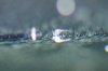 UFO.jpg
