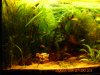 Aquarium 456.jpg
