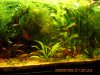 Aquarium 455.jpg