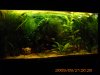 Aquarium 454.jpg
