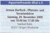 Aquarienbörse 3.JPG