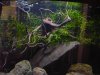 DSC00056.JPG