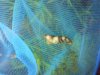 DSC01230.jpg