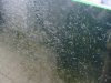 DSC04843.JPG