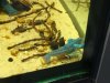 DSC04866.JPG