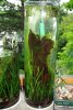 Bild 438.jpg