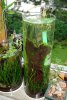 Bild 441.jpg