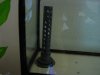 DSC00117.JPG