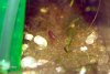 Bild 485.jpg