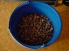 DSC00116.JPG