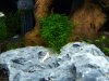 100_4539.jpg