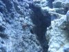 IMG_0051_small.jpg