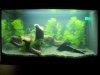 100_0451.JPG