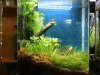 GF-EWB-Becken9.jpg