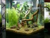 GF-EWB-Becken11.jpg