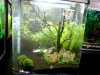 GF-EWB-Becken14.jpg