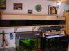 DSC00178.JPG